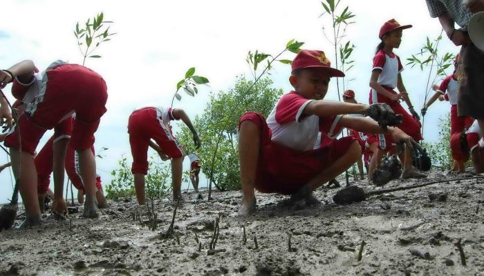 Manusia dan Lingkungan