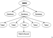 Hierarki Database