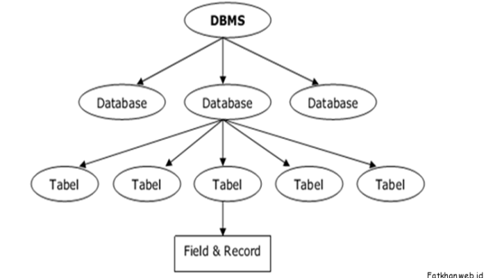 Hierarki Database