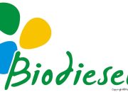 Biodiesel, Sebagai Energi Alternatif