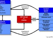 Pengertian dan Langkah-Langkah Metode Pembelajaran Information Search