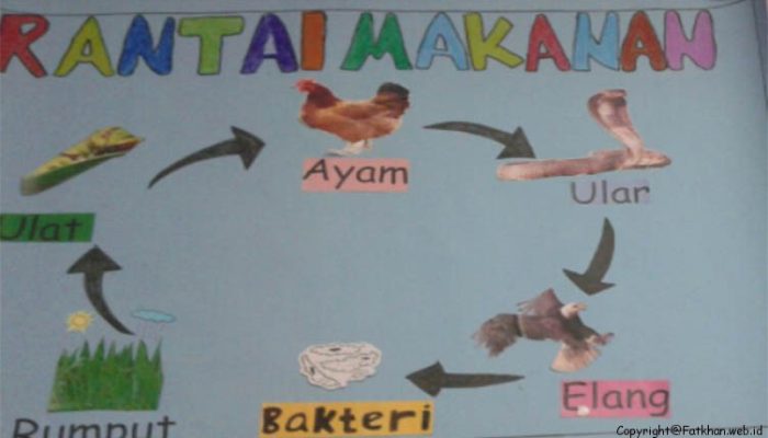 Pengertian Media Pembelajaran Wall Chart