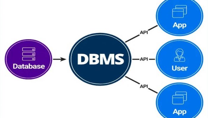 Pengertian Database Management System (DBMS)