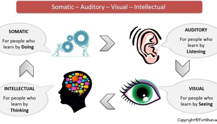 Pengertian Metode Pembelajaran SAVI (Somatic, Auditory, Visual dan Intelectual)