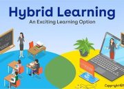 Model Hybrid Learning